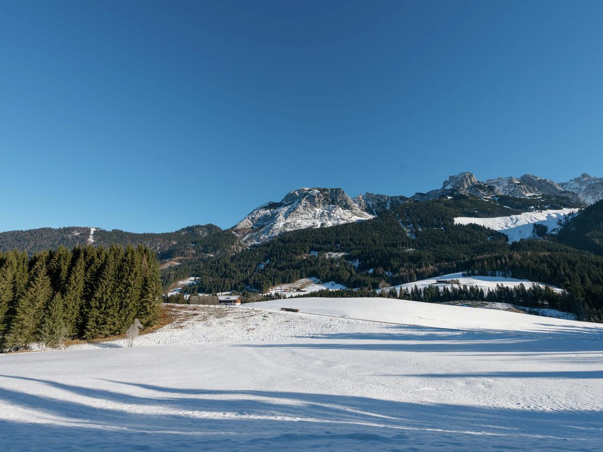 Chalet In Annaberg-Lungoetz With Shared Sauna Βίλα Εξωτερικό φωτογραφία